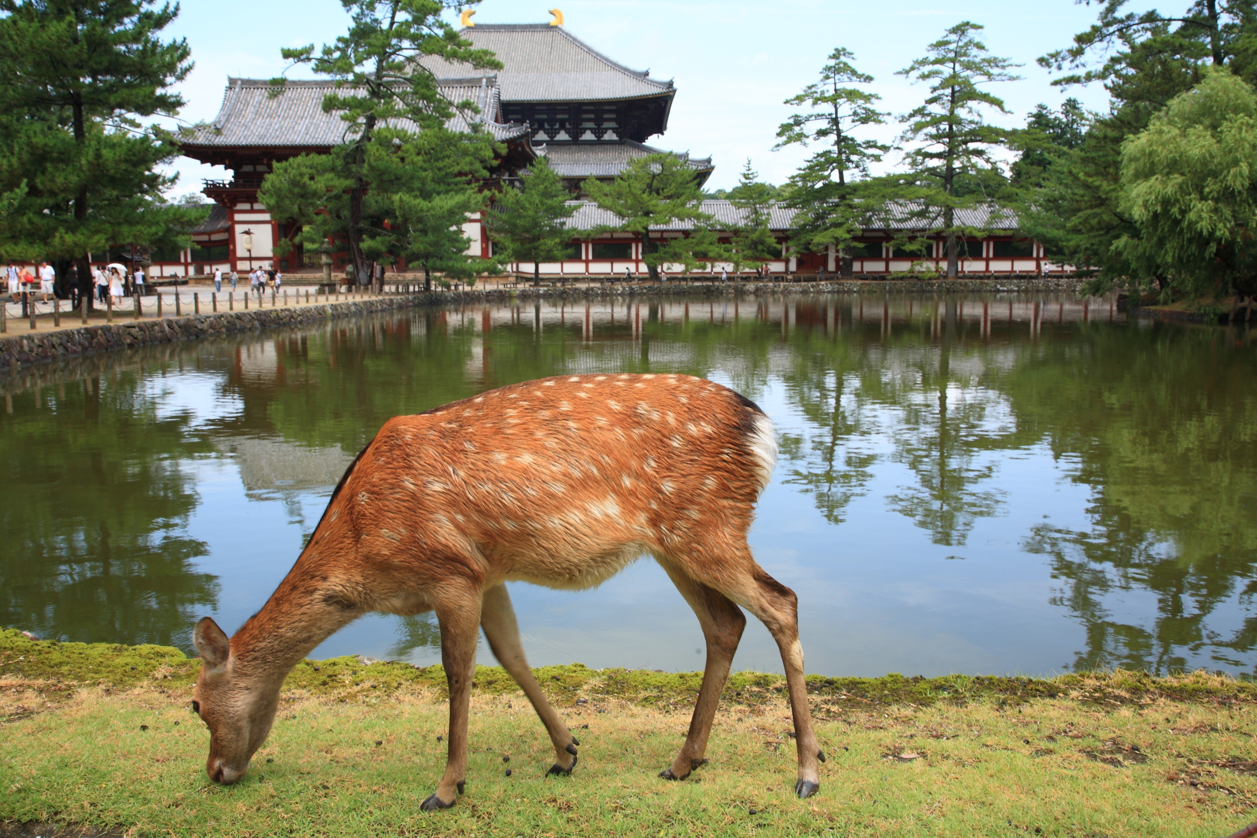 Nara