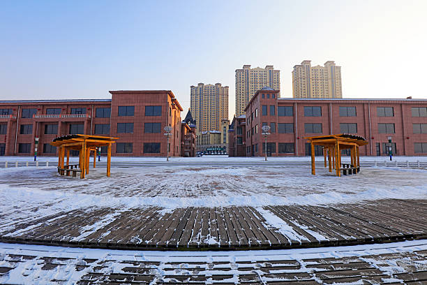 Harbin Institute of Technology