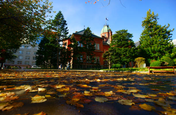 Hokkaido University
