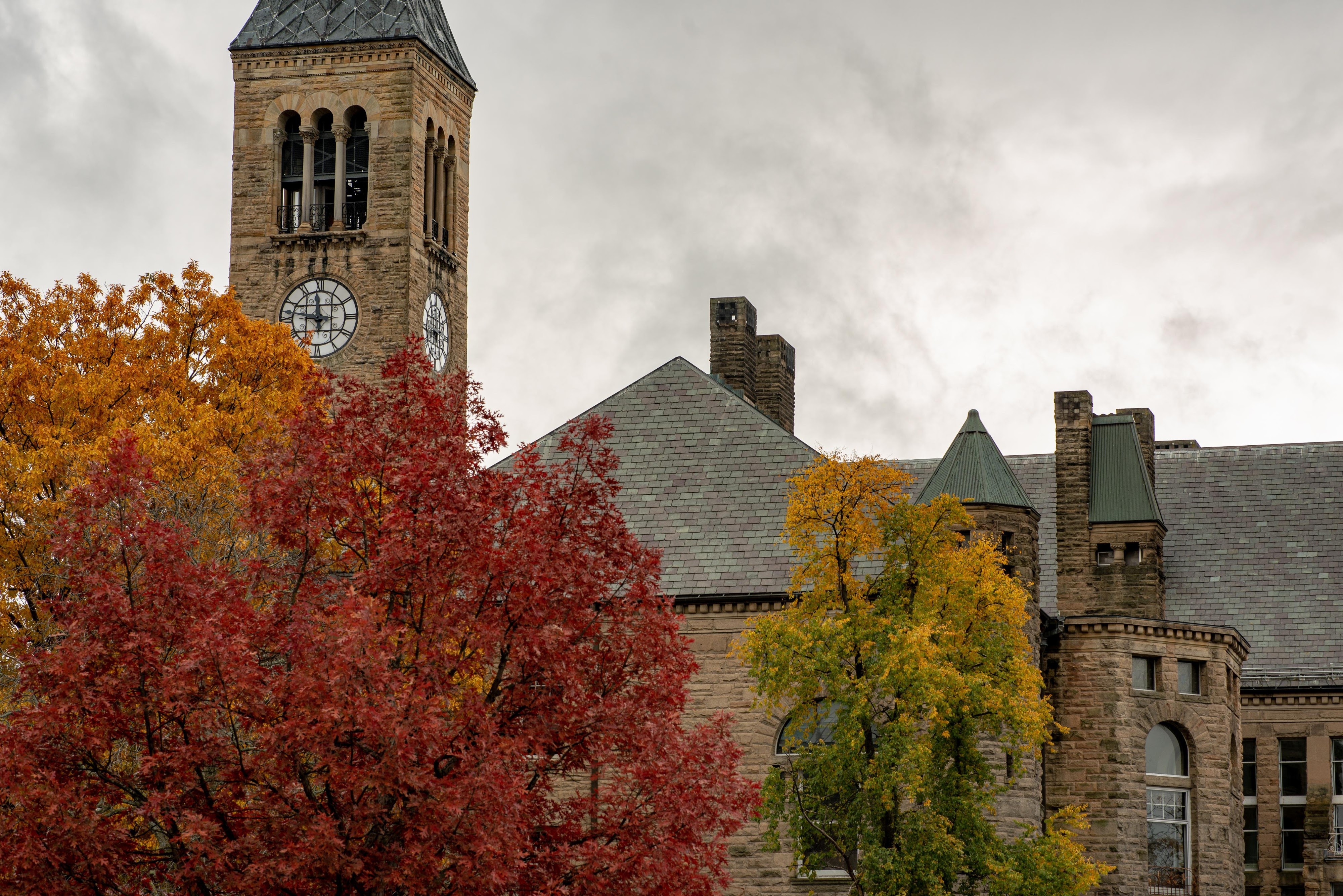 Cornell University