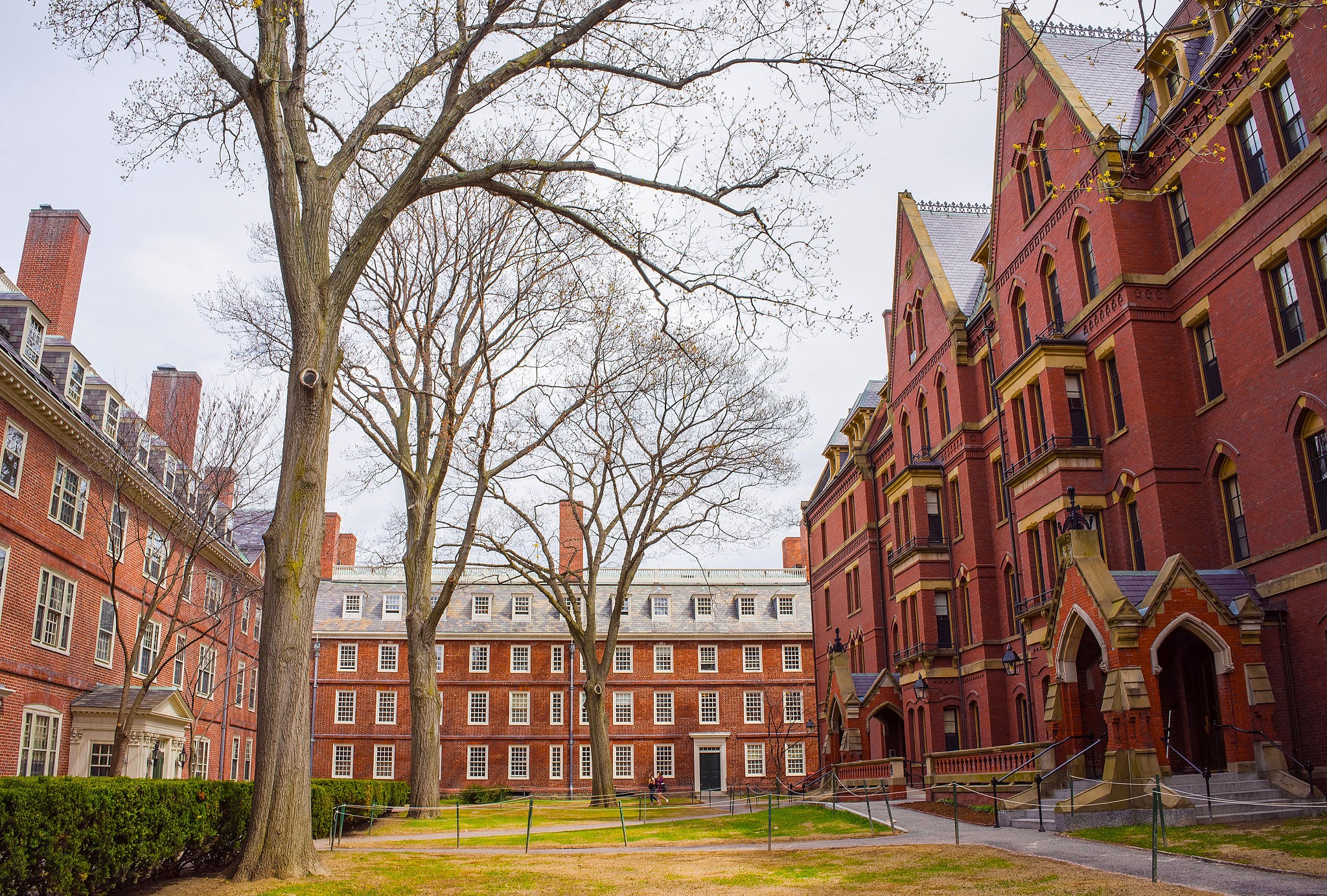 Harvard University