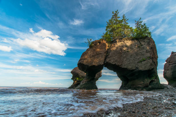 Hopewell Rocks