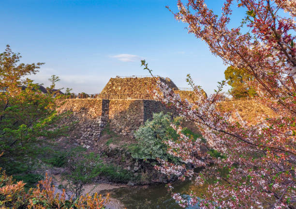 Fukuoka Castle Ruins