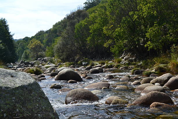 Gallegos River river