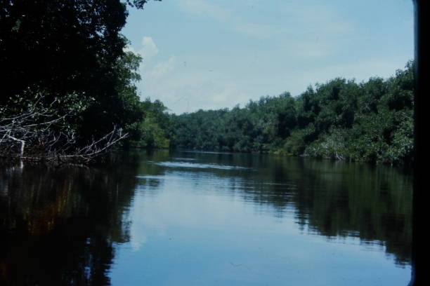 Río Negro river