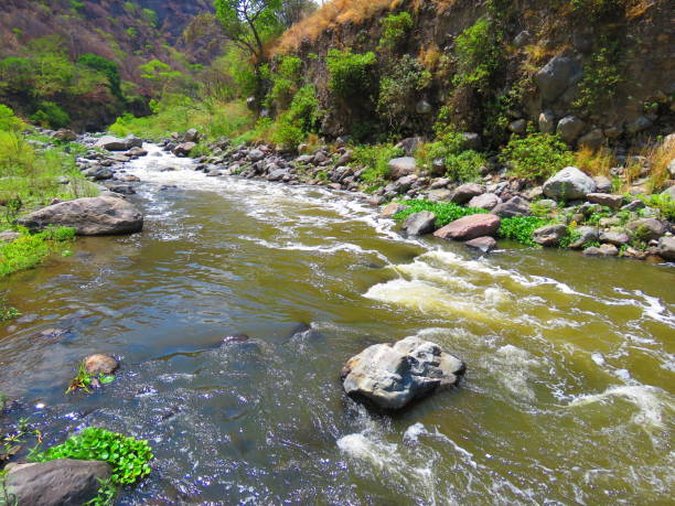 Pilcomayo River river