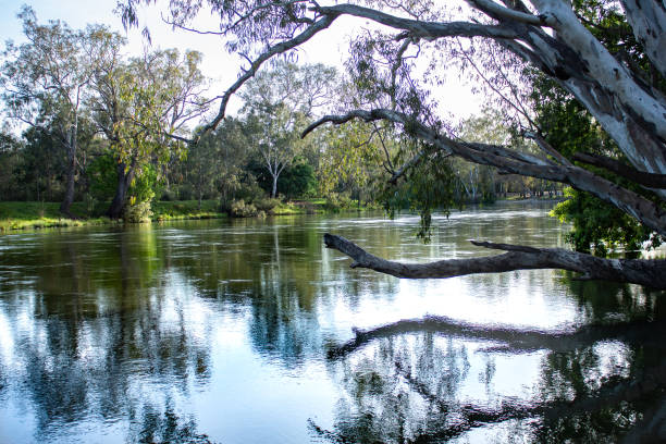 Macquarie River river