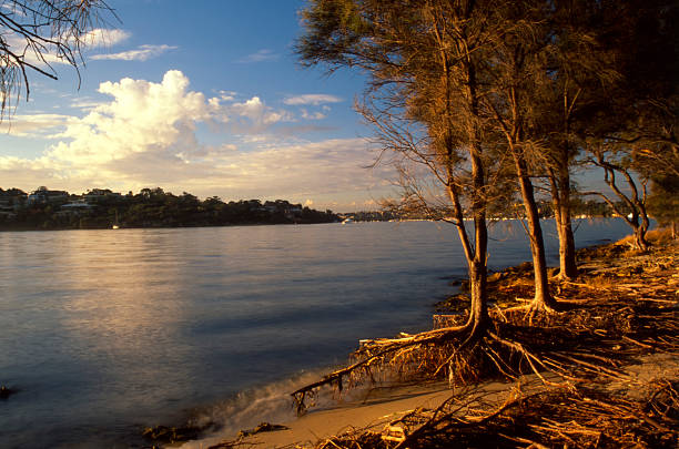 Swan River river