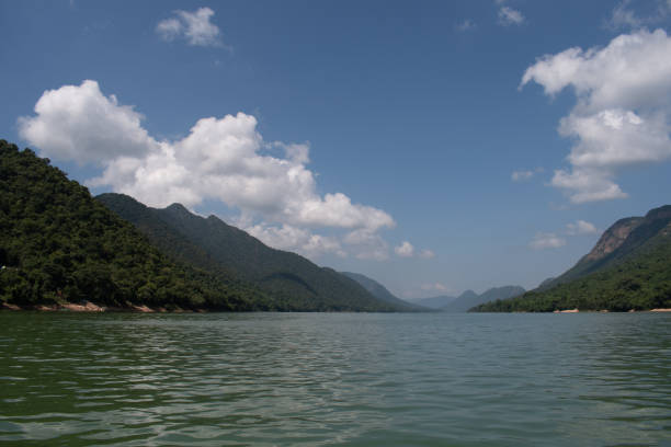 Mahanadi River river