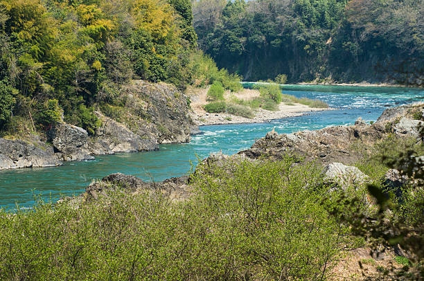 Kiso River river